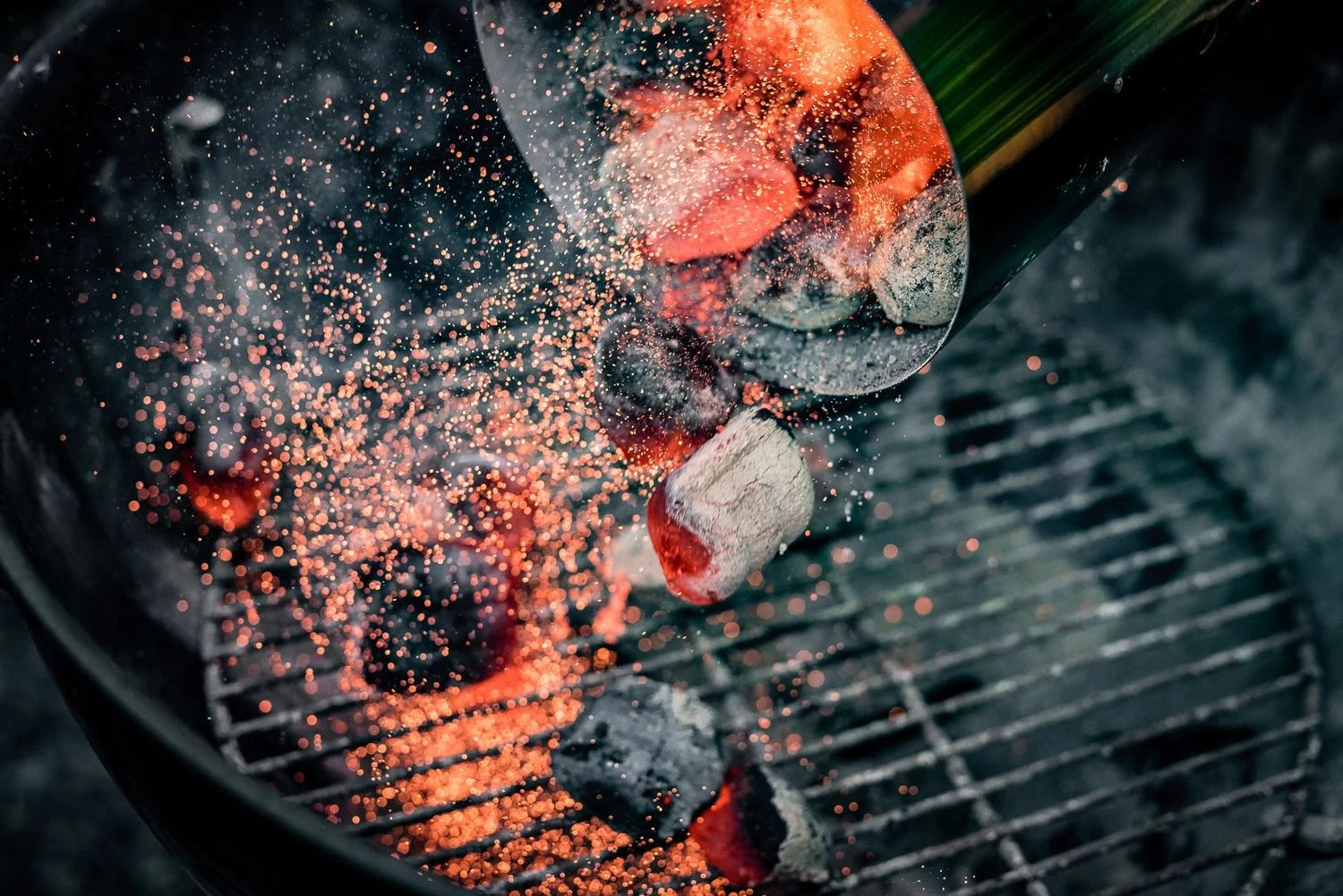 BlackSellig Beach Kokosbriketts 10 Kg 3 BlackSellig Beach Kokosbriketts 10 Kg – Bild 3