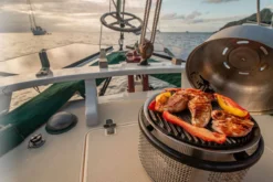 Cobb Grill Supreme Deluxe 2.0 Holzkohlegrill - Inkl. Tragetasche, Grillplatte, Bratenrost, Pfanne, 2x Cobble Stones 6er -BBQ Zubehoer Verkaufsgeschäft Cobb Grill Supreme Deluxe 2 0 600 1 Griddle 4