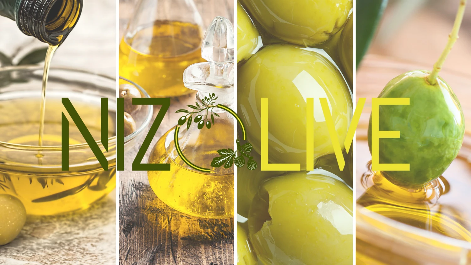 Grillfürst Feinkost - Olivenöl Niz Olive Memecik - Nativ Extra - Mehrfach International Preisgekrönt - 500ml 5 Grillfürst Feinkost - Olivenöl Niz Olive Memecik - Nativ Extra - Mehrfach International Preisgekrönt - 500ml – Bild 5