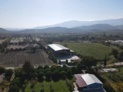 Grillfürst Feinkost - Olivenöl Niz Olive Memecik - Nativ Extra - Mehrfach International Preisgekrönt - 500ml 15 Grillfürst Feinkost - Olivenöl Niz Olive Memecik - Nativ Extra - Mehrfach International Preisgekrönt - 500ml -BBQ Zubehoer Verkaufsgeschäft Niz Olive Produktionsstaette bestes Olivenoel weltwet