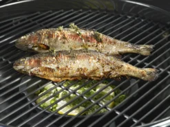 Outdoorchef Gusseisenpfanne / Aromapfanne Ø 23cm -BBQ Zubehoer Verkaufsgeschäft outdoorchef aromapfanne 18 211 71 f